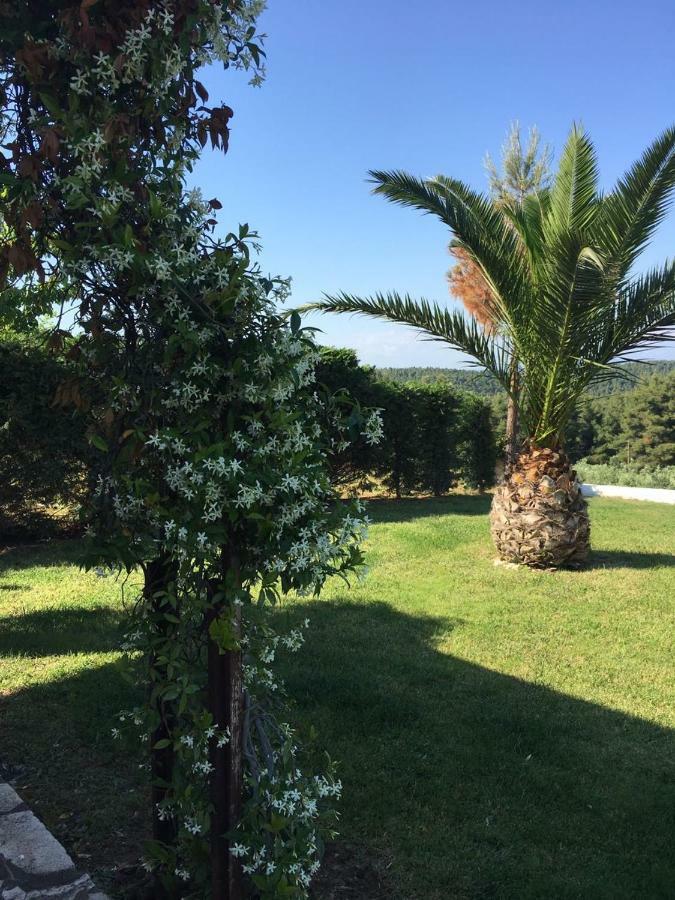 3 Bedroom Villa In Elani Villas Chalkidiki Siviri Extérieur photo